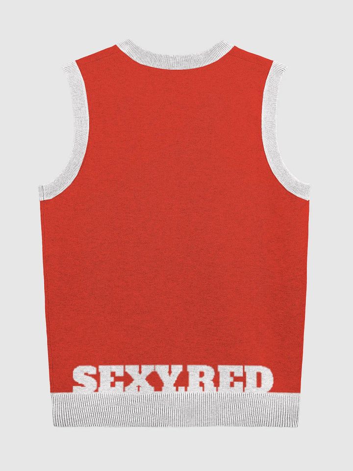 Vest product image (2)