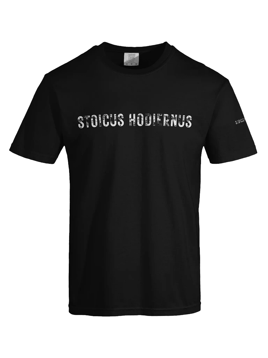 “Stoicus Hodiernus” – Modern Icarus Tee product image (17)