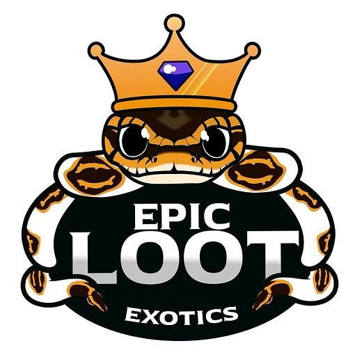 We’re excited to show you all our new logo!

Here’s to many more reptile adventures and loot more epic than you could find in...