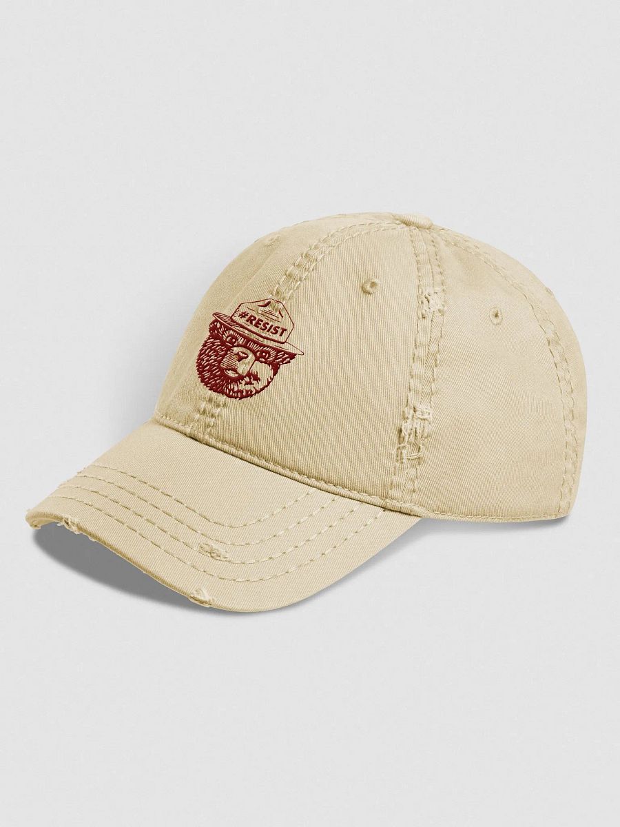 Smokey RESIST BEAR Distressed Hat (Sedona) Alt National Parks Embroidered Cap product image (2)