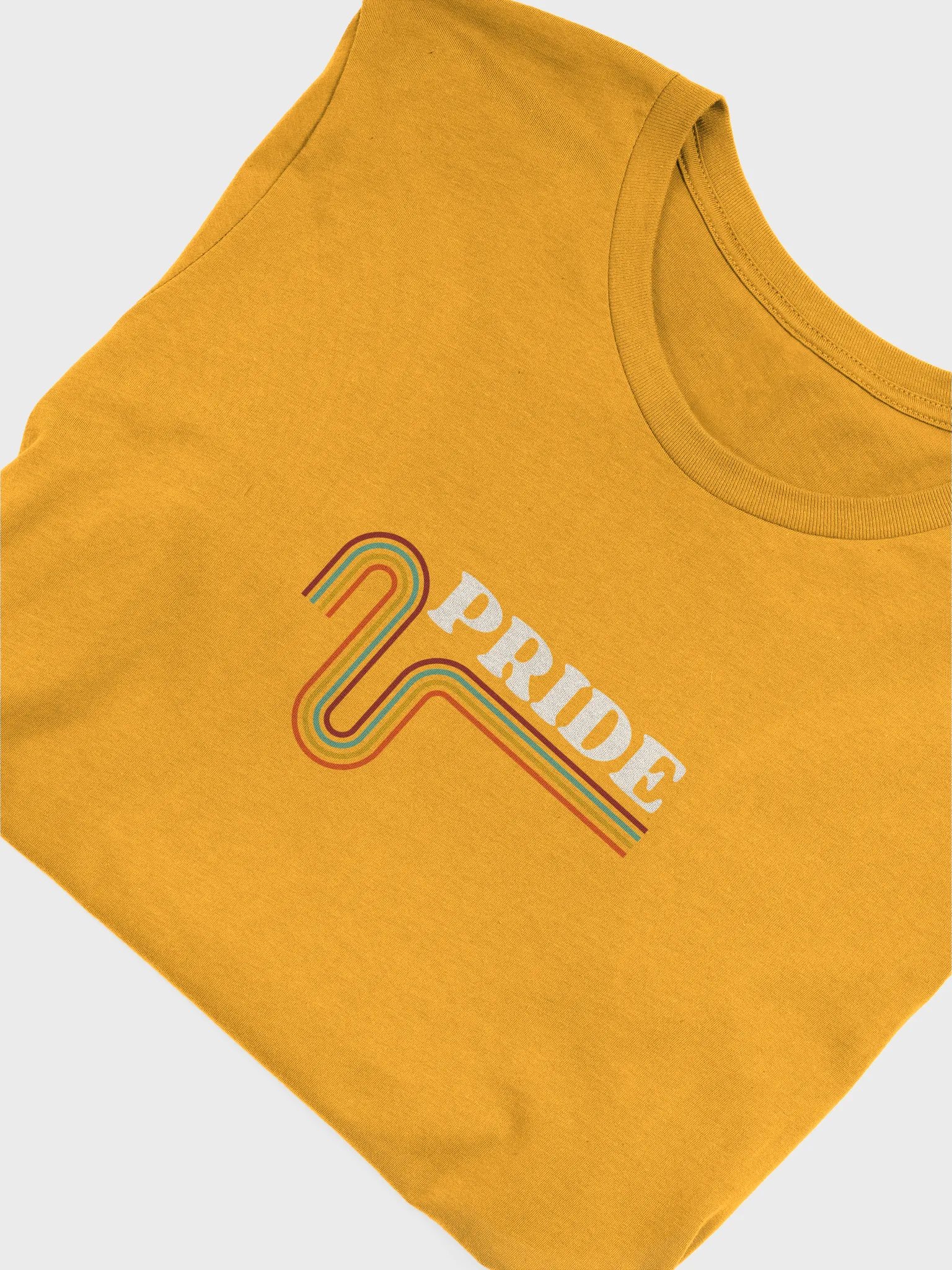 Vintage Pride Tee product image (95)