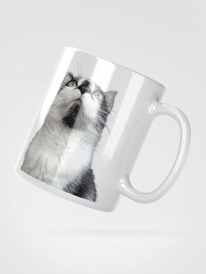 xRaviolix Mug product image (4)