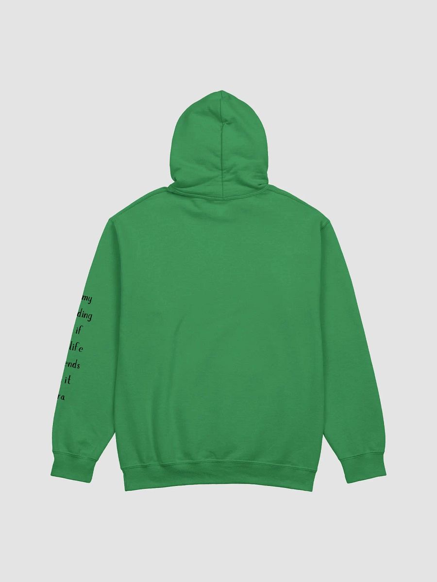 Bookish Shelf Classic Hoodie product image (15)