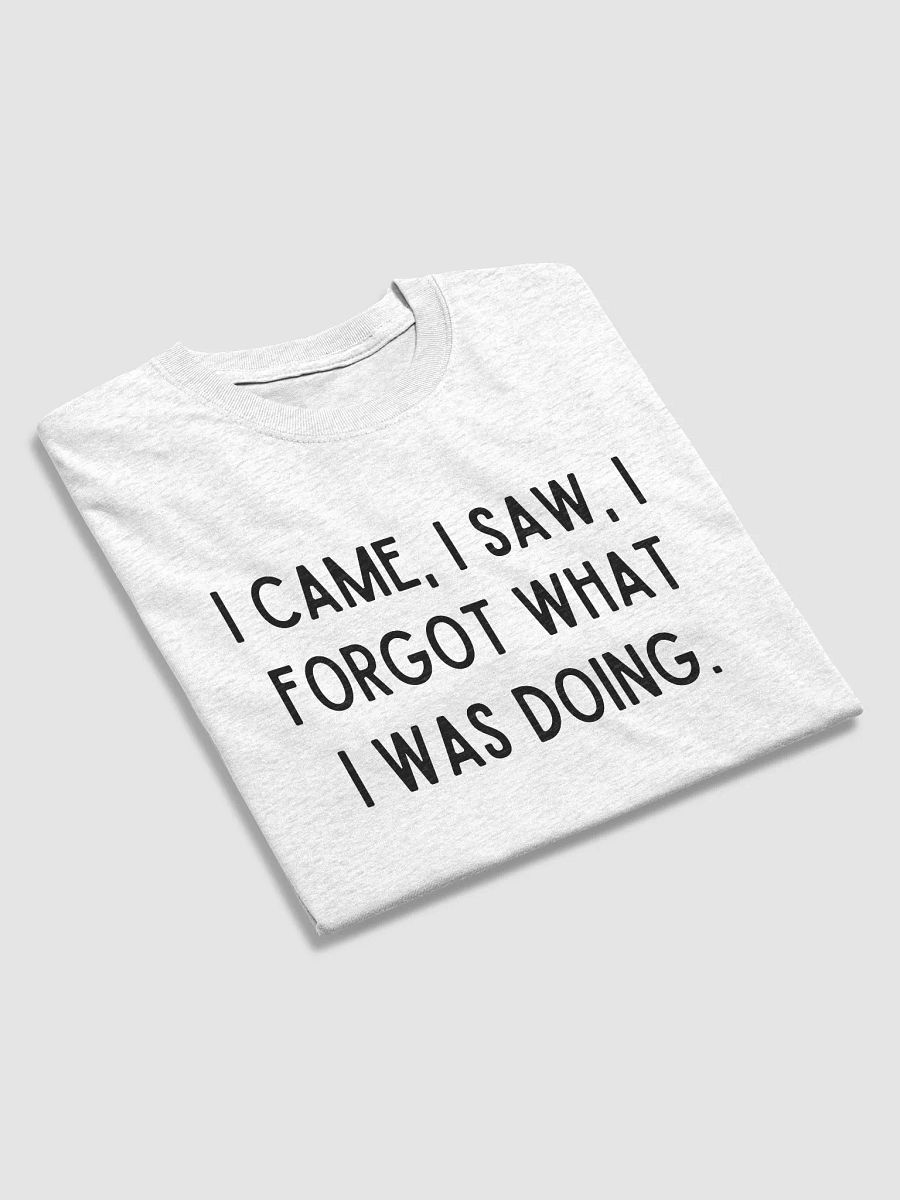 I CAME I SAW TEE product image (3)
