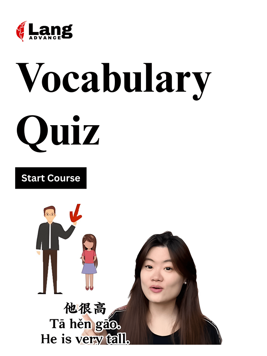 Vocabulary Quiz: Common Categories product image (1)