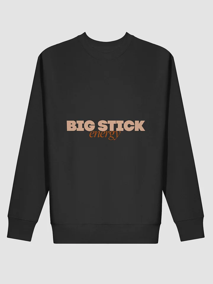 Big Stick Energy Hoodie (Heavyweight) product image (2)