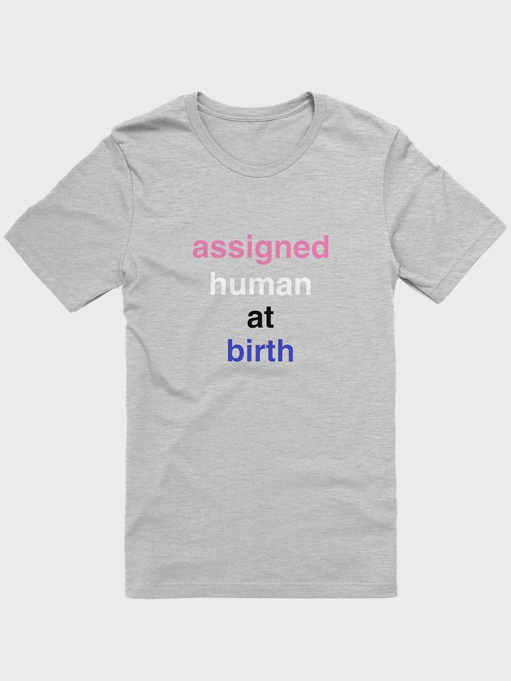 assigned human at birth genderfluid t-shirt product image (1)