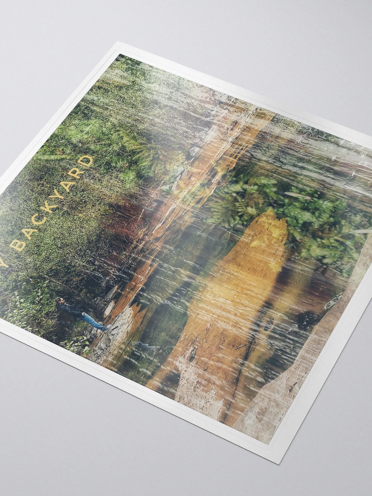 My Backyard Stickers product image (3)