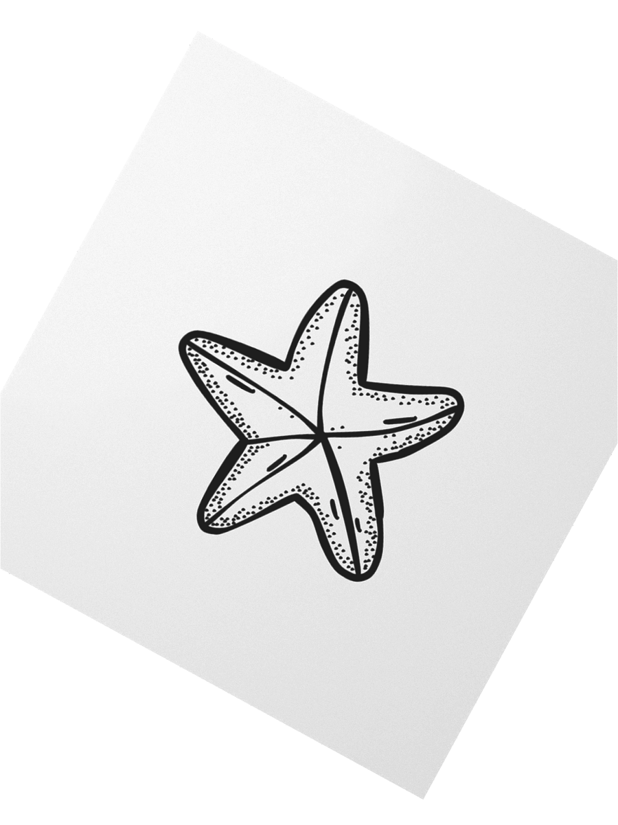 Starfish Kiss Cut Stickers product image (2)
