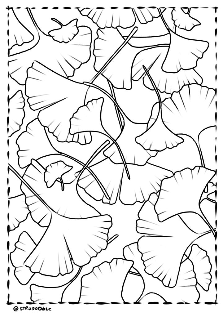 colouring page : ginkgo leaves product image (1)