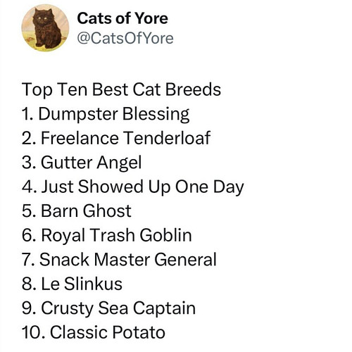 tag your cat mine’s royal trash goblin with a side of crusty sea captain