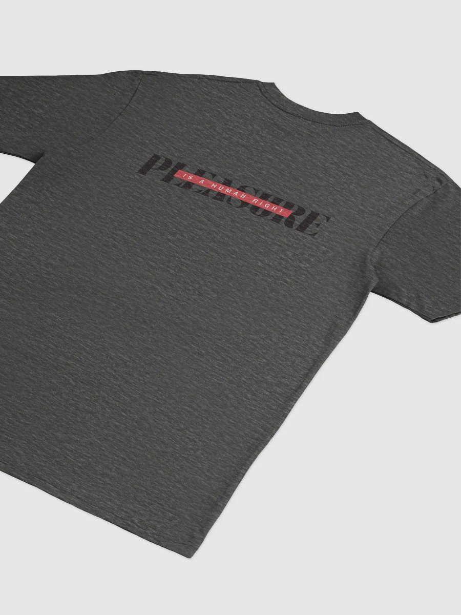 Pleasure if a Human Right T Shirt product image (16)