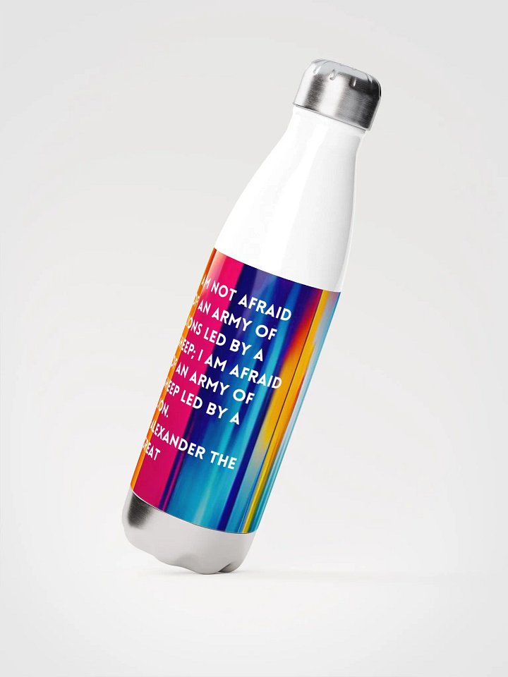Stainless Steel Water Bottle product image (2)