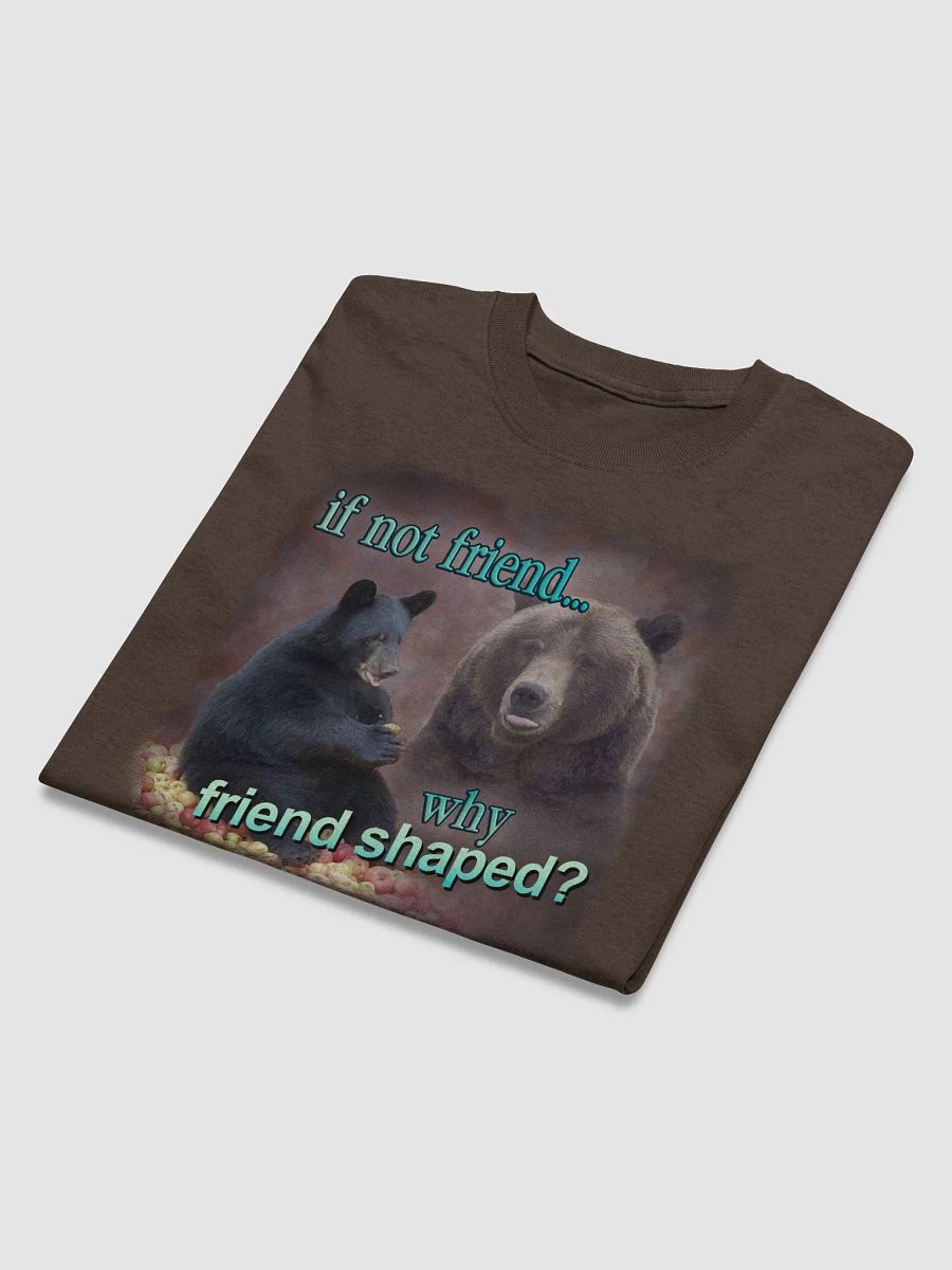 If Not Friend, Why Friend Shaped Bear T-shirt product image (4)