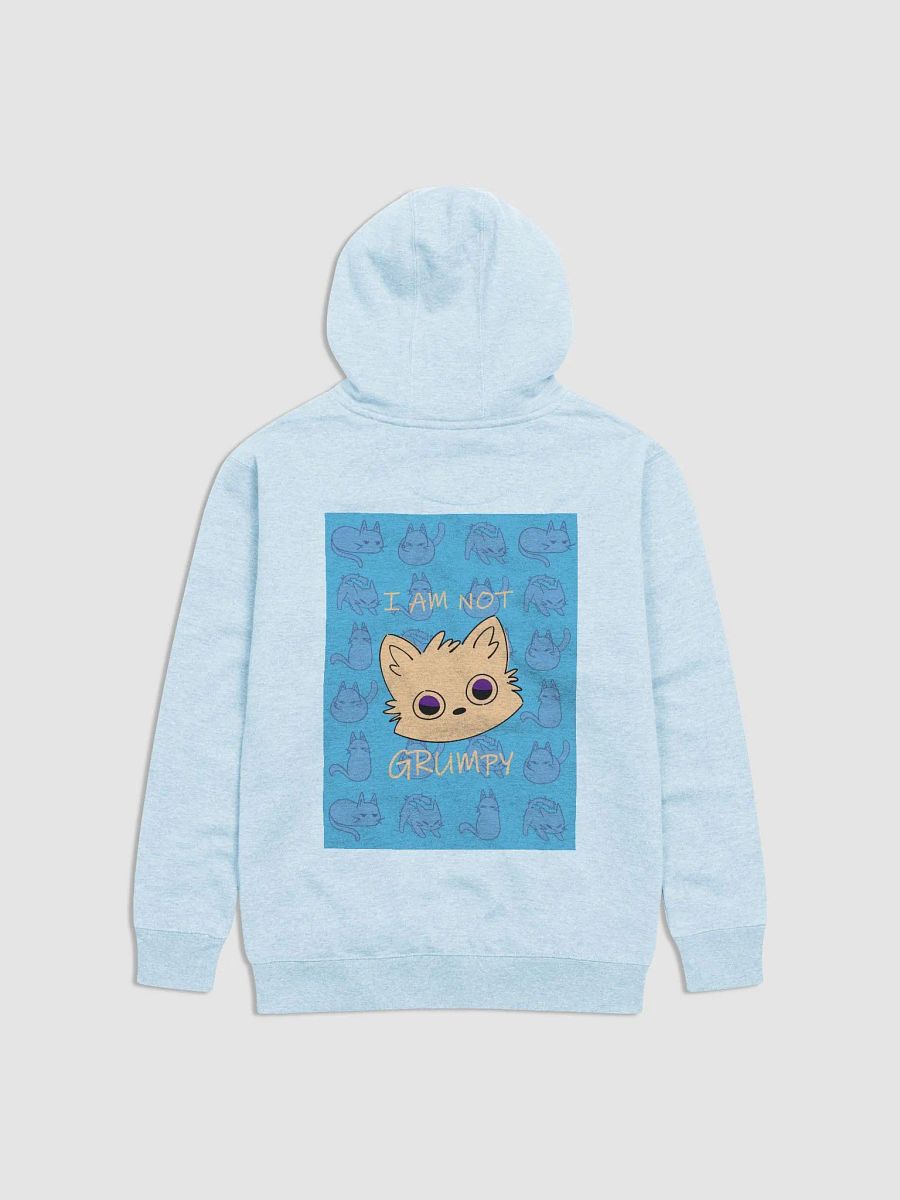 The (NOT) Grumpy Hoodie product image (2)
