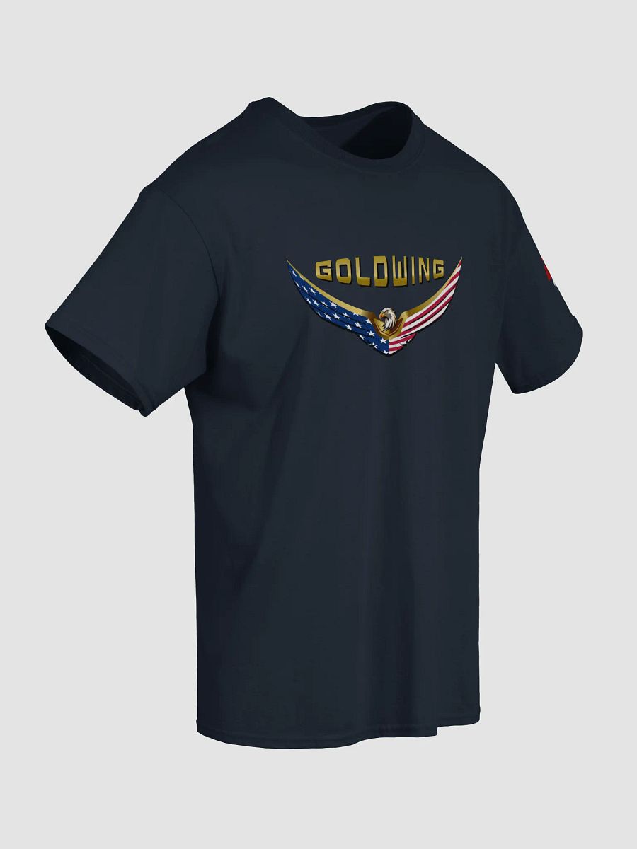 American Eagle -Front and Back - Dark Tee product image (19)