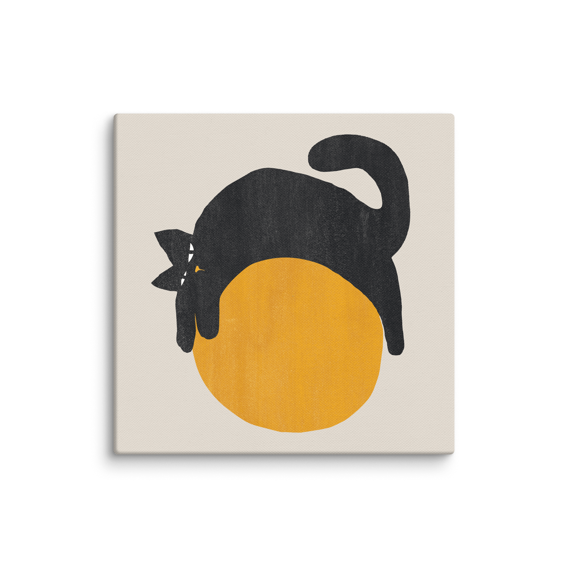 Lazy cat on a ball Canvas Art print product image (1)