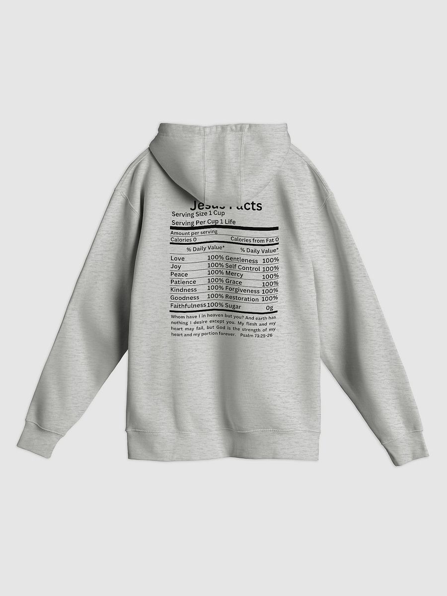 Jesus facts Unisex hoodie product image (2)