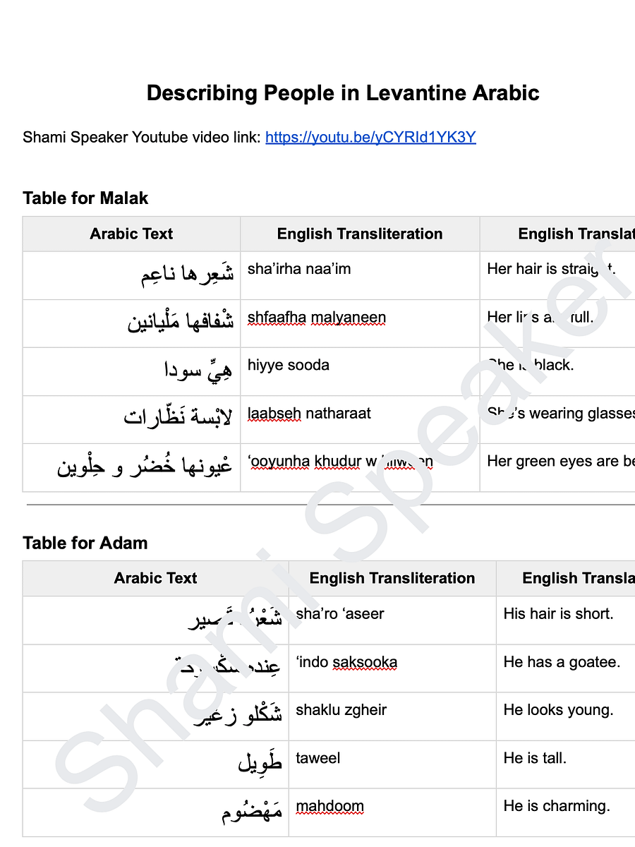 Describing People in Levantine Arabic product image (2)