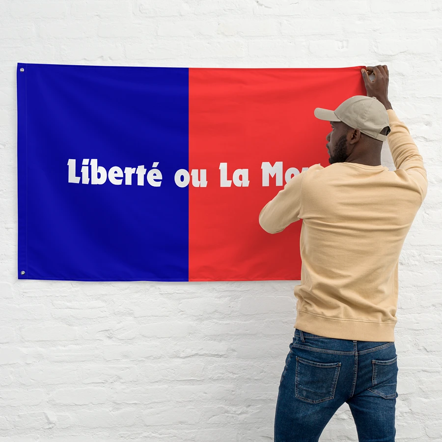 1803 Haiti Revolutionary Flag product image (11)