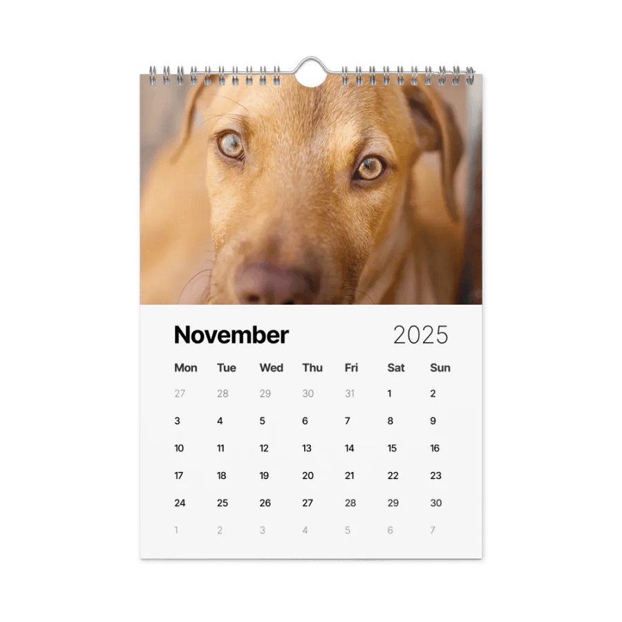 The first year - 2025 Calendar product image (11)