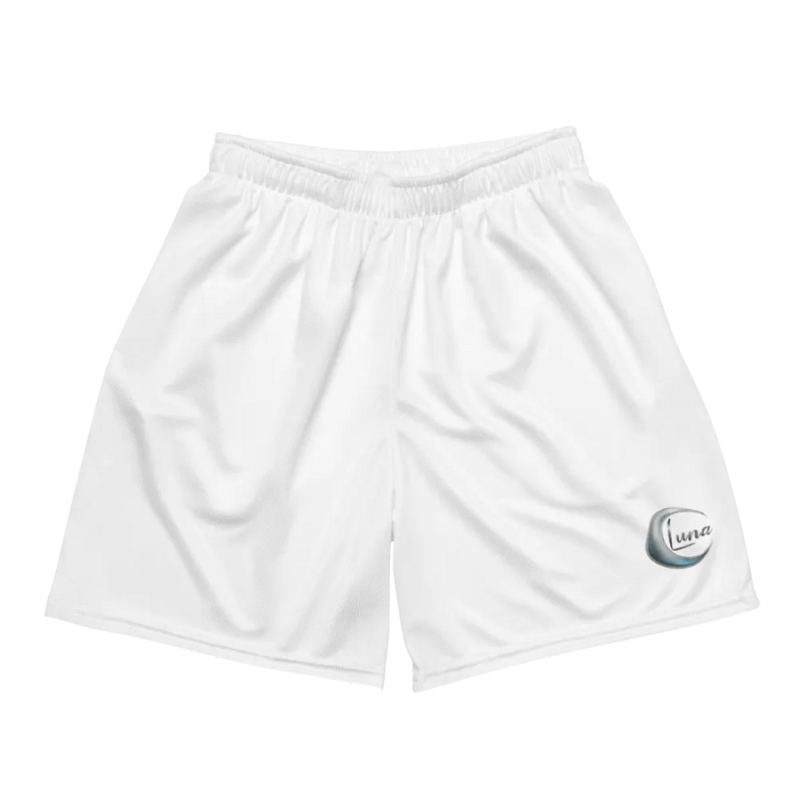 Luna Exclusive Logo Recycled Unisex Mesh Shorts - Eco-Friendly & Stylish product image (3)