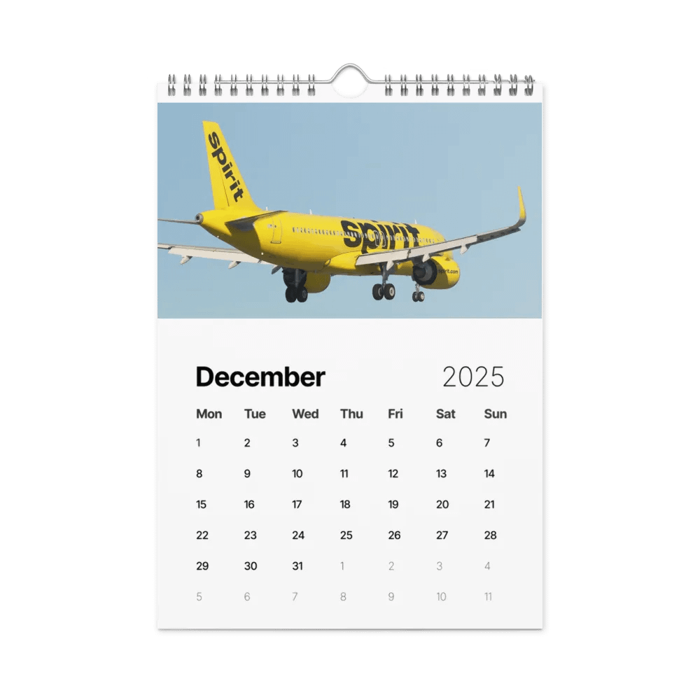2025 Wall Calendar! Best Of: Flight Sim Screenshots! product image (5)