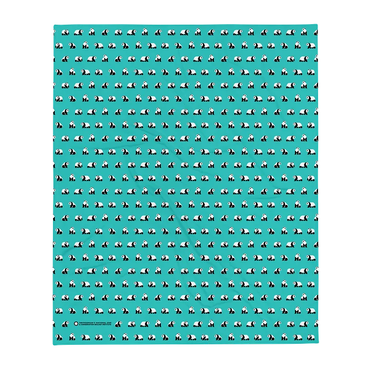 Pandas Are Here Blanket product image (1)