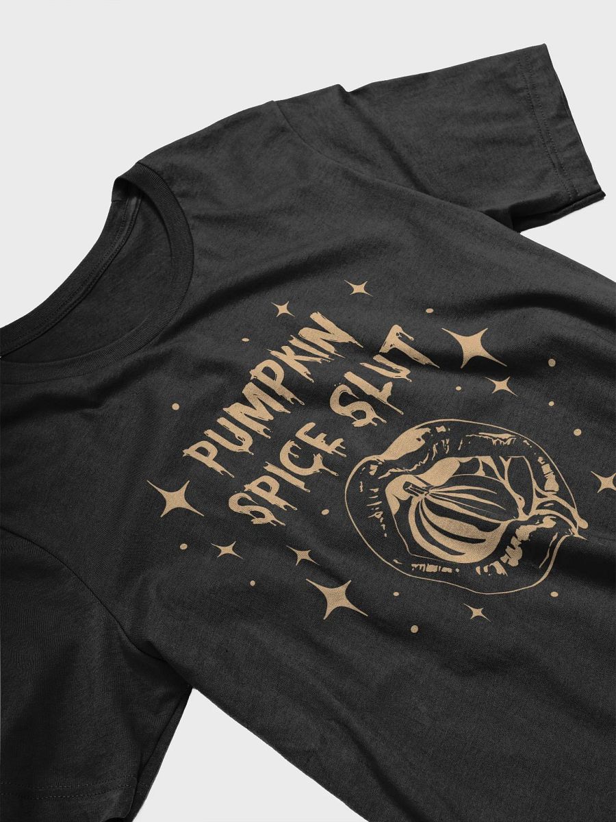Pumpkin Spice Slut Shirt product image (3)