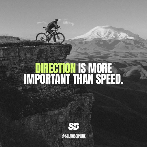 Velocity without direction is just motion; direction with purpose is progress. Align your speed with your goals using the Sel...