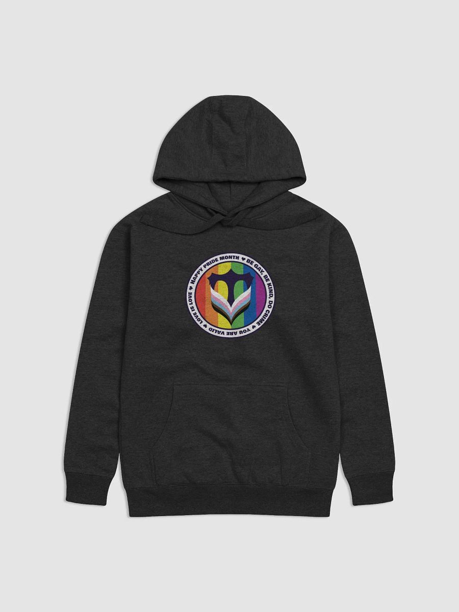 Voice Pride Hoodie! product image (1)