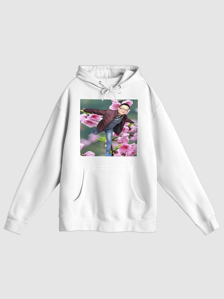 Lane Seven Premium Pullover Hoodie: fly product image (7)