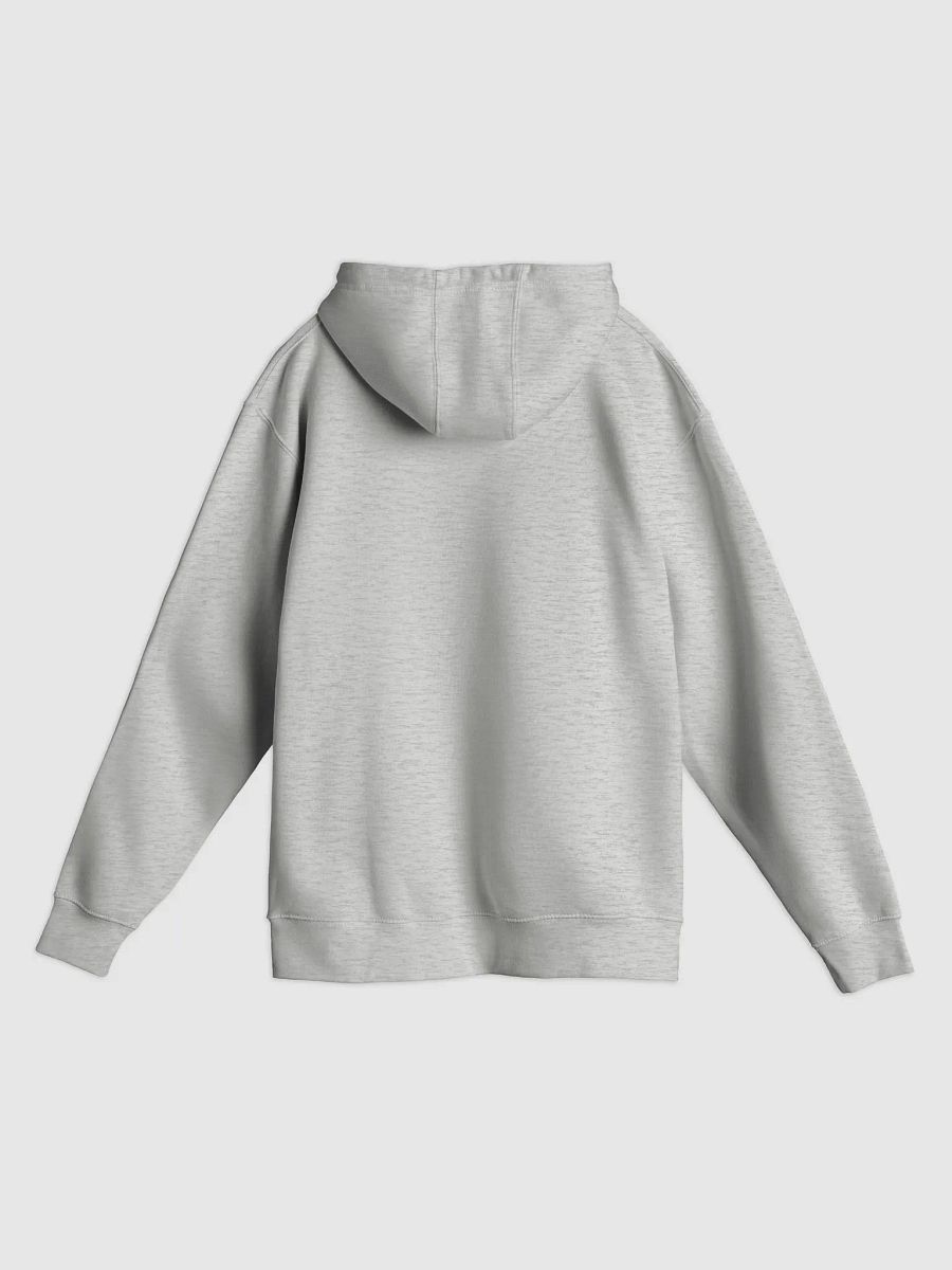 MORALS Gray Hoodie product image (2)