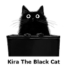 Kira The Black Cat