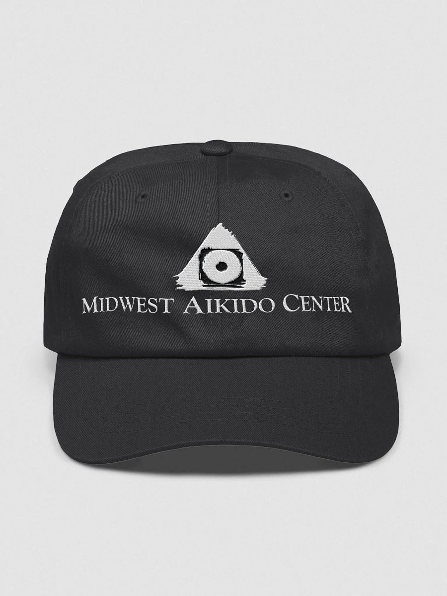 Baseball Hat product image (1)