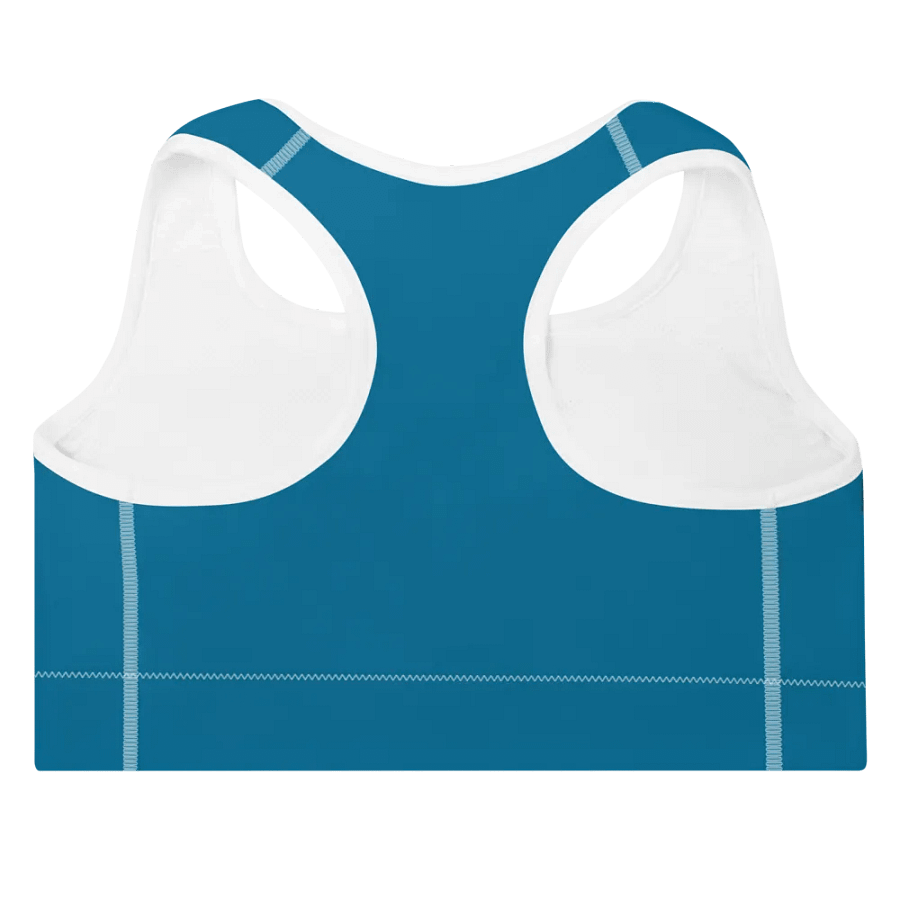 The Bonesdale Bra product image (2)