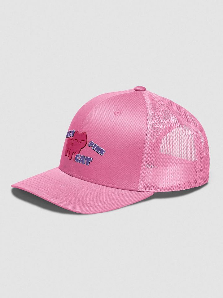 Silly Pink Hat product image (2)