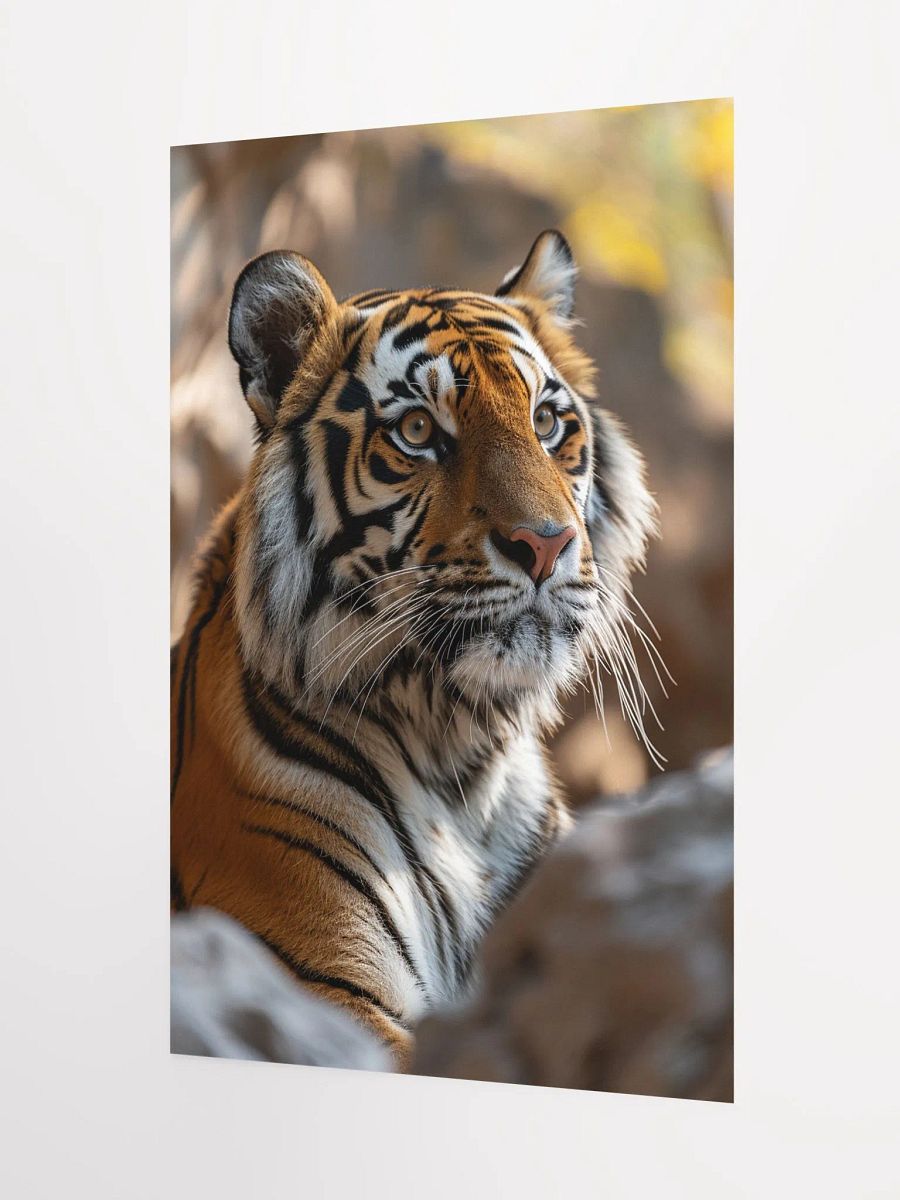Tiger Solitude: A Portrait of Majestic Calm product image (9)