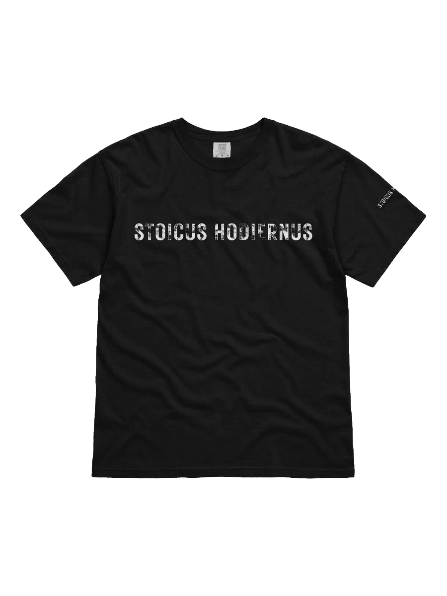 “Stoicus Hodiernus” – Modern Icarus Tee product image (3)