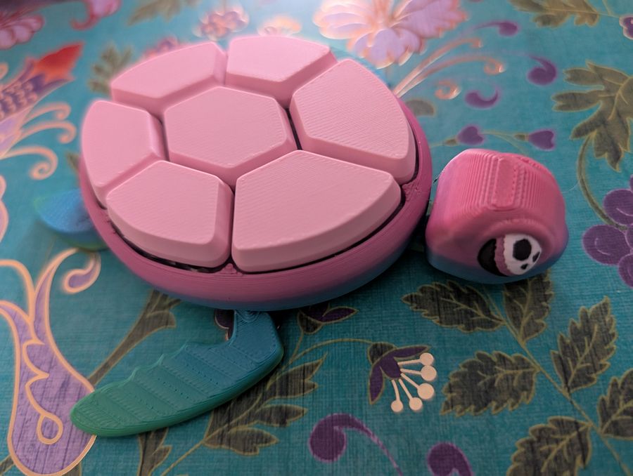 Paws & Turtles Clicker Fidgets product image (4)