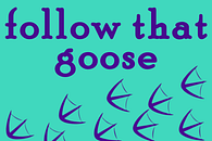 Follow That Goose