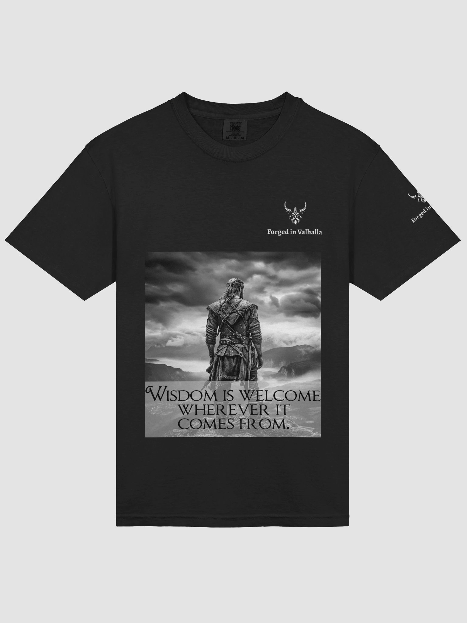 Wisdom is Welcome Men's Viking T-Shirt product image (34)