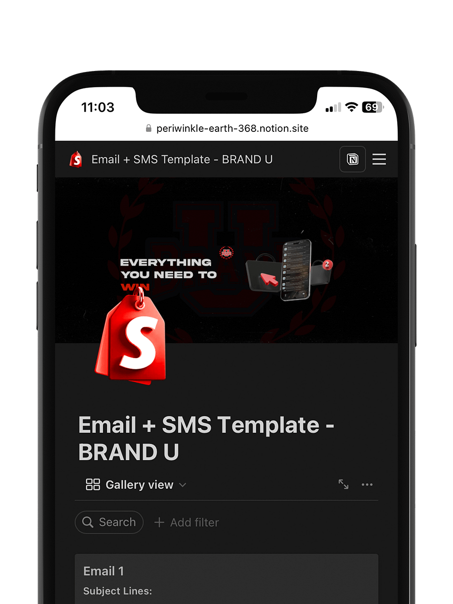 High Converting Email + SMS Scripts product image (2)