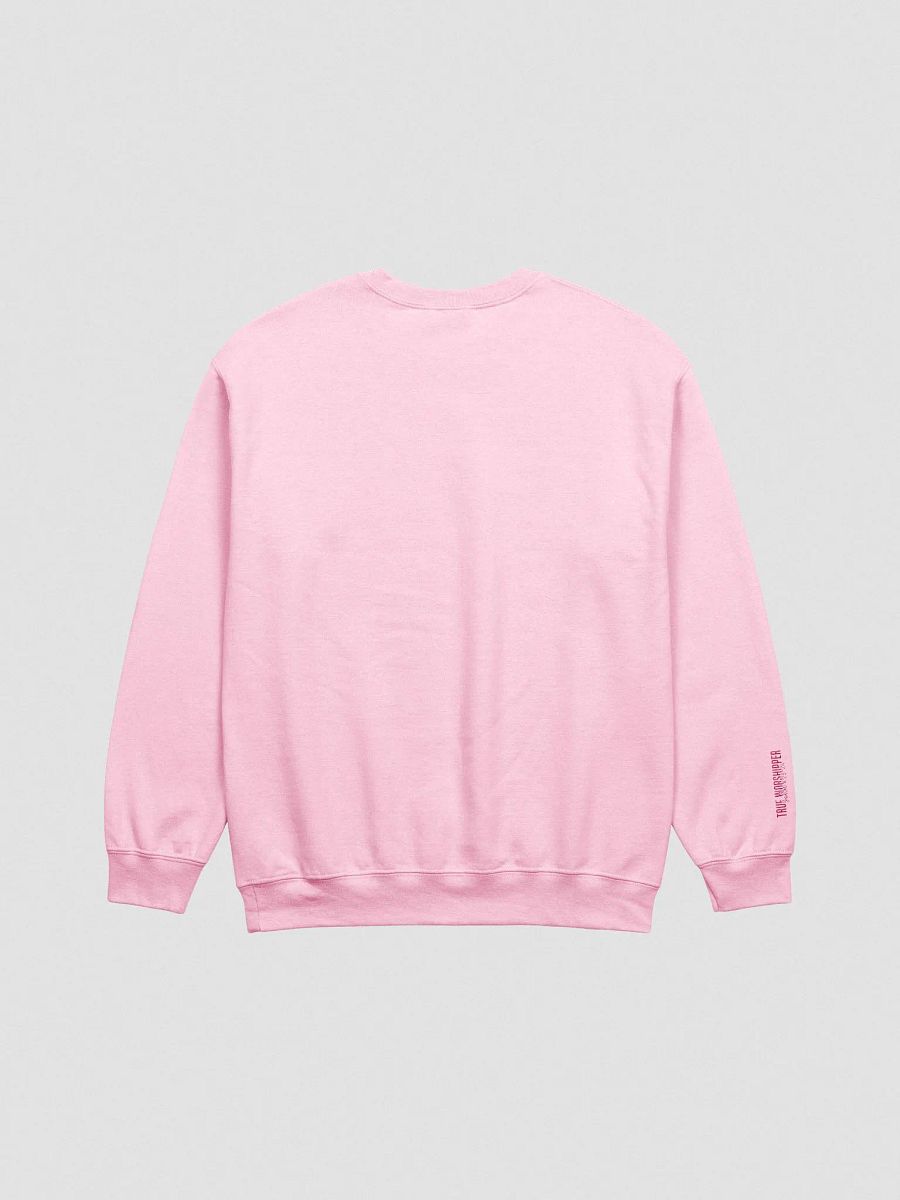 The Unashamed Worshipper Embroidered Sweatshirt- Light Colors product image (5)