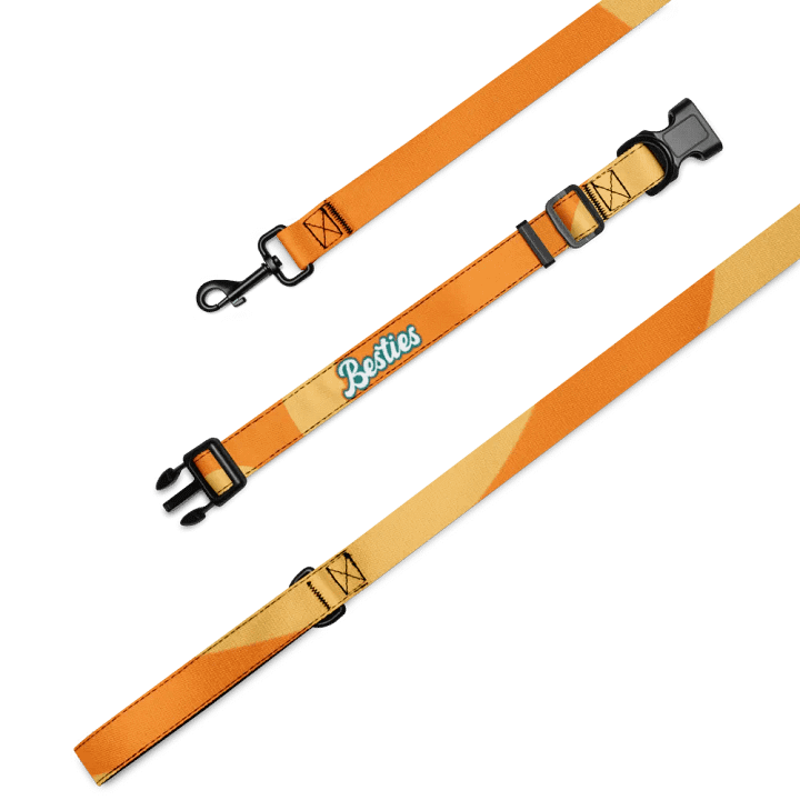 Besties Groovy Pet Collar & Leash Set product image (2)