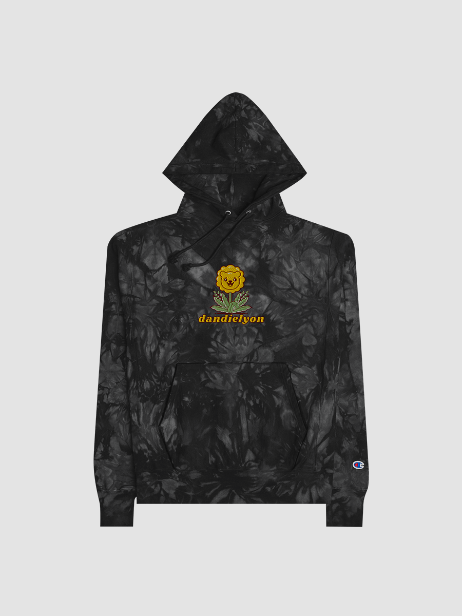 dandielyon Champion tie dye hoodie product image (2)