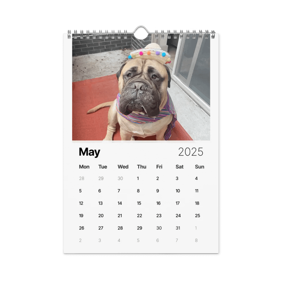 Meech 2025 Wall Calendar product image (5)