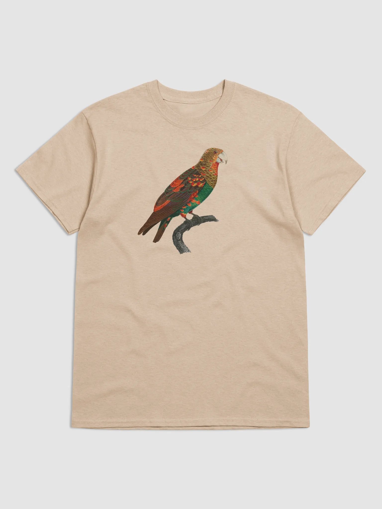 Vibrant Parrot Perch Tee product image (7)
