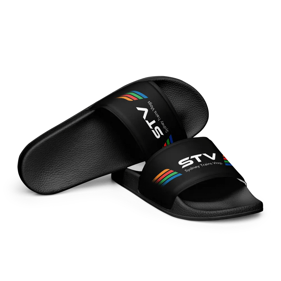 STV Slides product image (10)