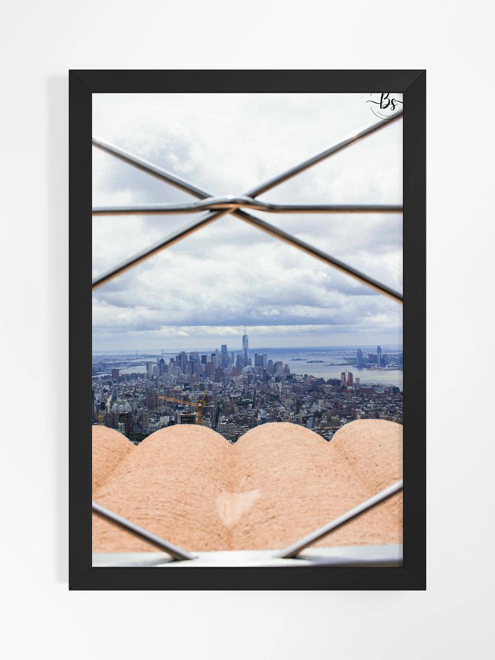 Looking Out (FRAMED) product image (1)